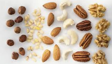 Dried Fruits and Edible Nuts
