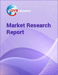 Global Gutter Cleaning Services Market Research Report 2025